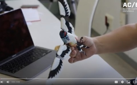 Making of 'Avetimolog&iacute;a - Birdtymology'