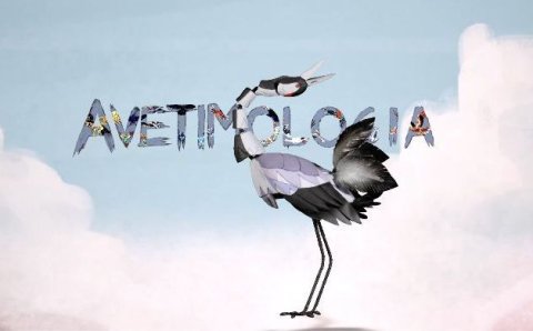 Avetimolog&iacute;a Trailer