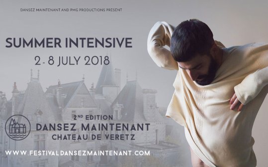 Festival Dansez Maintenant 2018