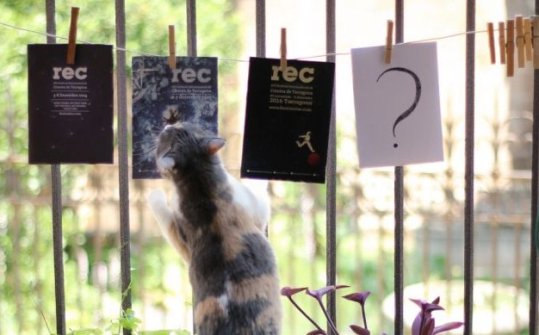 REC 2018. Festival Internacional de Cinema de Tarragona