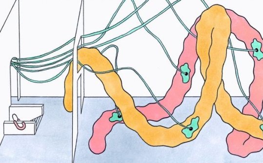 Eva F&agrave;bregas. Those things that your fingers can tell