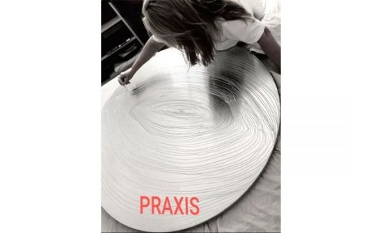 Rosa Rubio. 'Praxis'