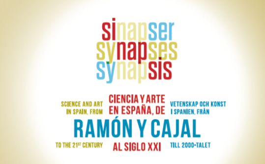 Sinapsis: Ciencia y Arte en Espa&ntilde;a, de Ram&oacute;n y Cajal al siglo XXI