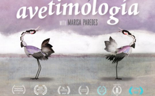 Avetimolog&iacute;a - Birdtymology